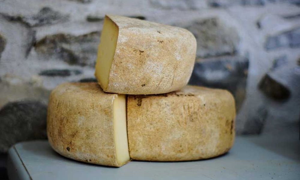 I migliori consigli per non sbagliare una grigliata di formaggi